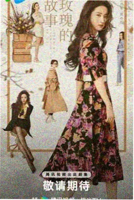 星河破晓 2025 电视剧